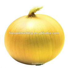 2012 Yellow onion